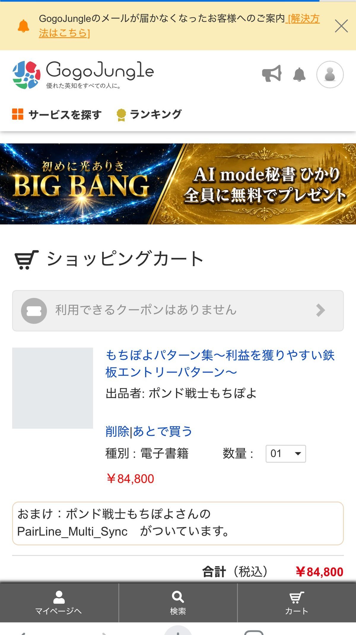 GogoJungleでもちぽよパターン集をカートに入れた画面